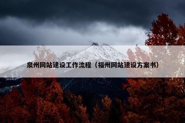 泉州网站建设工作流程（福州网站建设方案书）