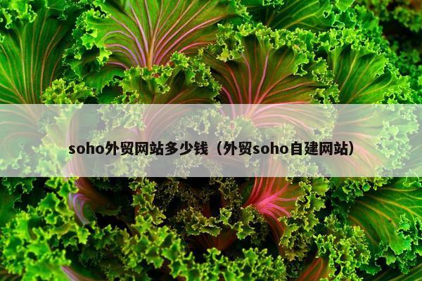 soho外贸网站多少钱（外贸soho自建网站）