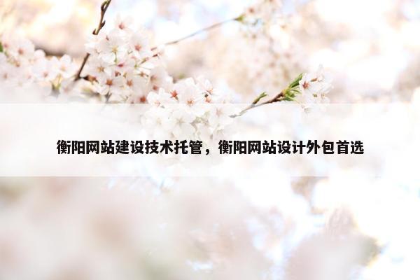 衡阳网站建设技术托管，衡阳网站设计外包首选