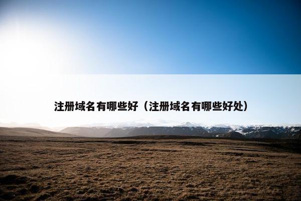 注册域名有哪些好（注册域名有哪些好处）