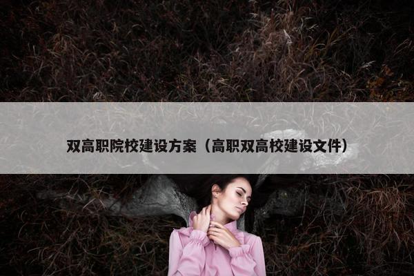 双高职院校建设方案（高职双高校建设文件）