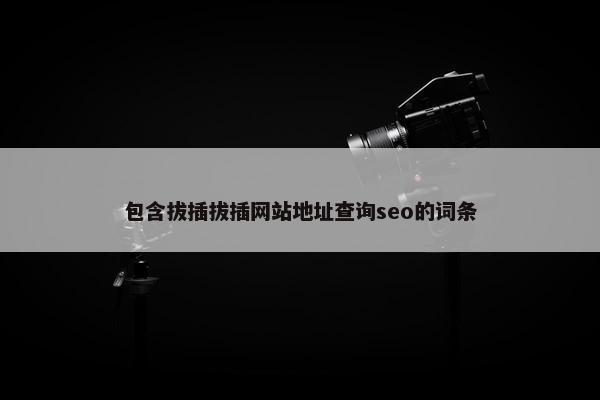 包含拔插拔插网站地址查询seo的词条