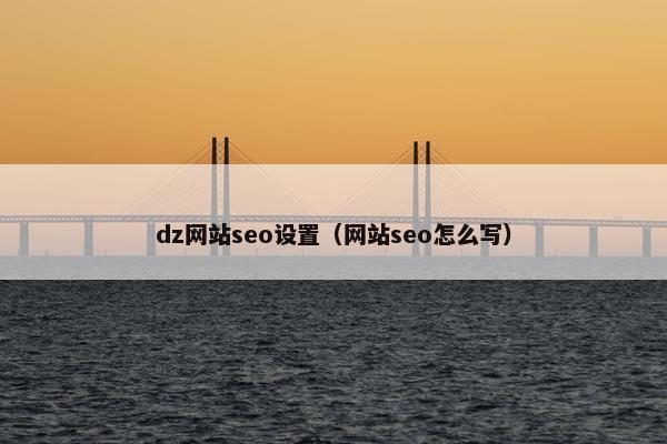 dz网站seo设置（网站seo怎么写）