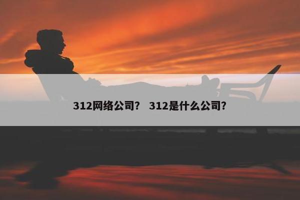 312网络公司？ 312是什么公司？