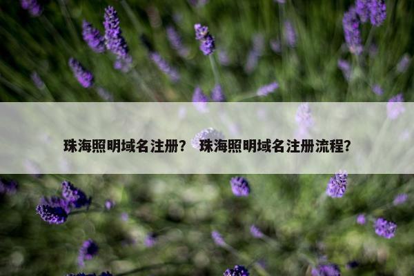 珠海照明域名注册？ 珠海照明域名注册流程？