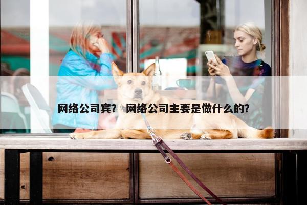 网络公司宾？ 网络公司主要是做什么的？