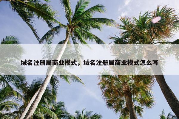 域名注册局商业模式，域名注册局商业模式怎么写