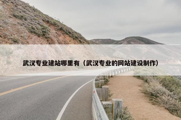 武汉专业建站哪里有（武汉专业的网站建设制作）