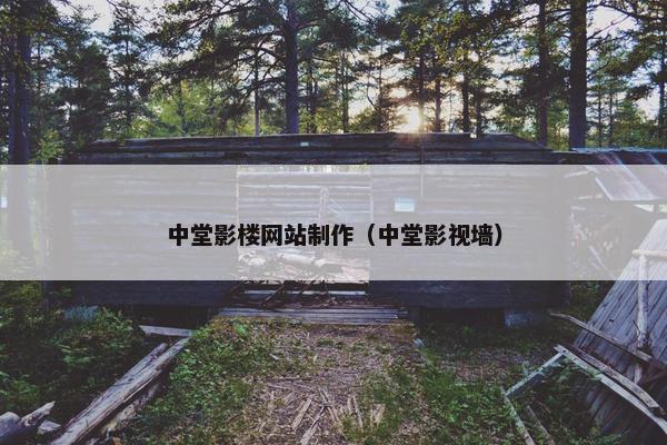 中堂影楼网站制作（中堂影视墙）