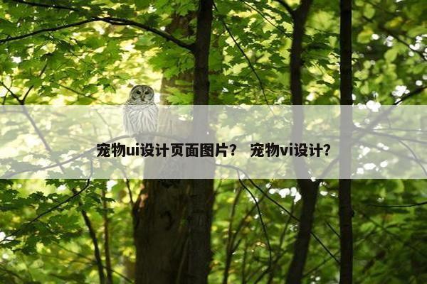 宠物ui设计页面图片？ 宠物vi设计？