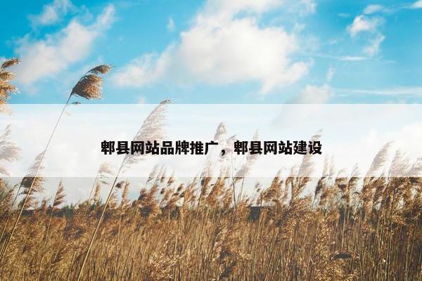 郫县网站品牌推广，郫县网站建设