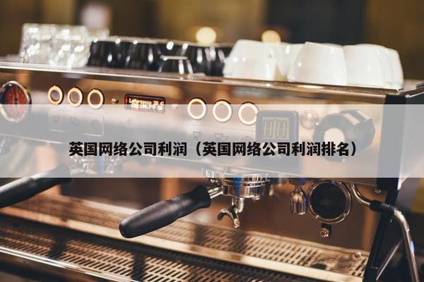 英国网络公司利润（英国网络公司利润排名）