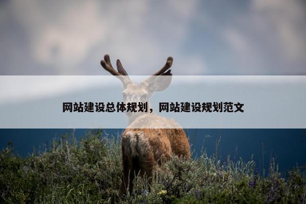 网站建设总体规划，网站建设规划范文