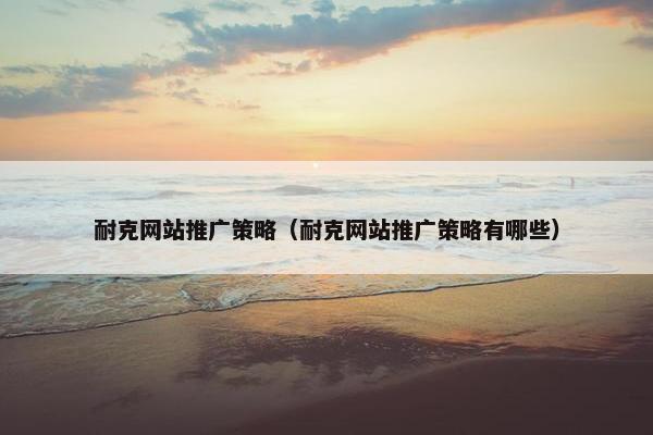 耐克网站推广策略（耐克网站推广策略有哪些）
