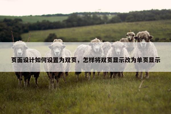 页面设计如何设置为双页，怎样将双页显示改为单页显示