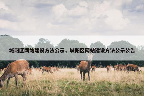 城阳区网站建设方法公示，城阳区网站建设方法公示公告