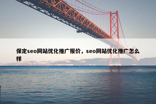 保定seo网站优化推广报价，seo网站优化推广怎么样