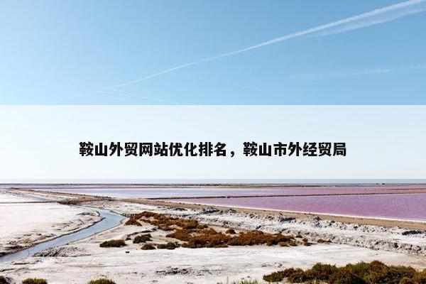 鞍山外贸网站优化排名，鞍山市外经贸局
