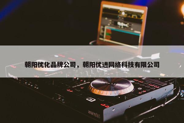 朝阳优化品牌公司，朝阳优进网络科技有限公司