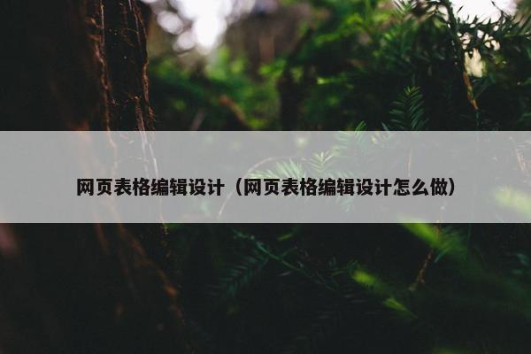 网页表格编辑设计（网页表格编辑设计怎么做）