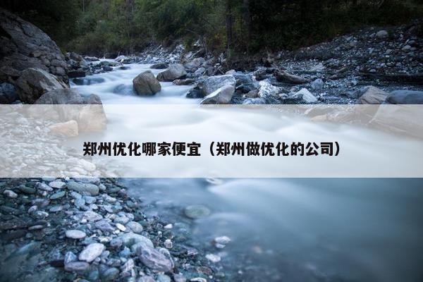 郑州优化哪家便宜（郑州做优化的公司）