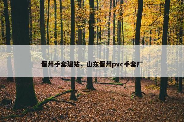晋州手套建站，山东晋州pvc手套厂