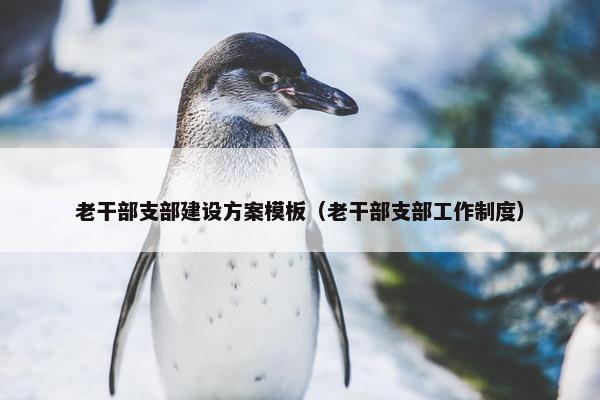 老干部支部建设方案模板（老干部支部工作制度）