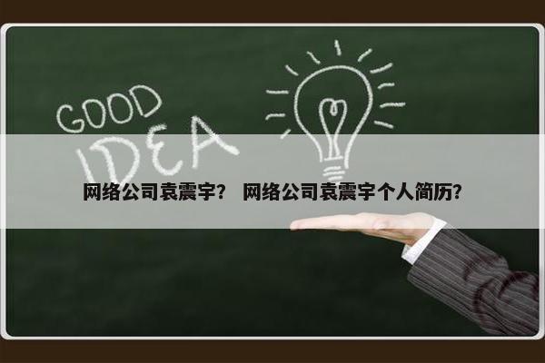 网络公司袁震宇？ 网络公司袁震宇个人简历？