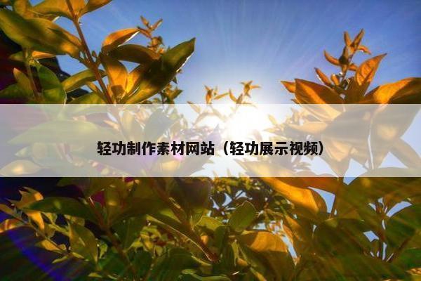 轻功制作素材网站（轻功展示视频）