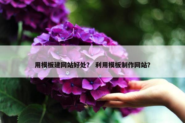 用模板建网站好处？ 利用模板制作网站？