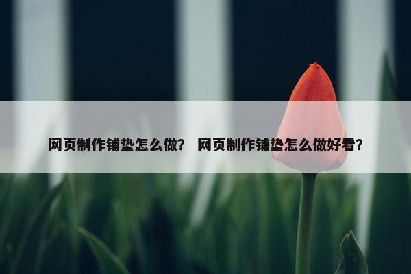 网页制作铺垫怎么做？ 网页制作铺垫怎么做好看？