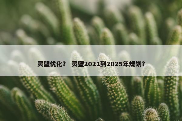 灵璧优化？ 灵璧2021到2025年规划？
