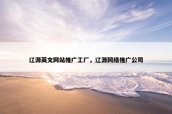 辽源英文网站推广工厂，辽源网络推广公司