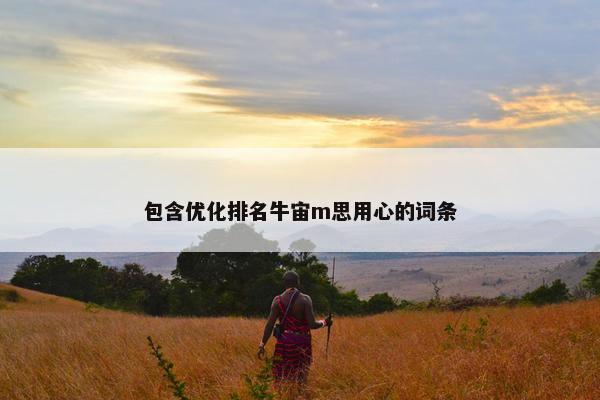 包含优化排名牛宙m思用心的词条