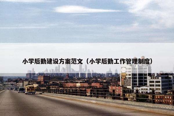 小学后勤建设方案范文（小学后勤工作管理制度）