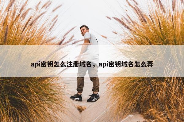 api密钥怎么注册域名，api密钥域名怎么弄
