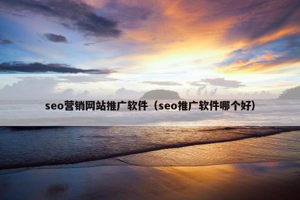 seo营销网站推广软件（seo推广软件哪个好）