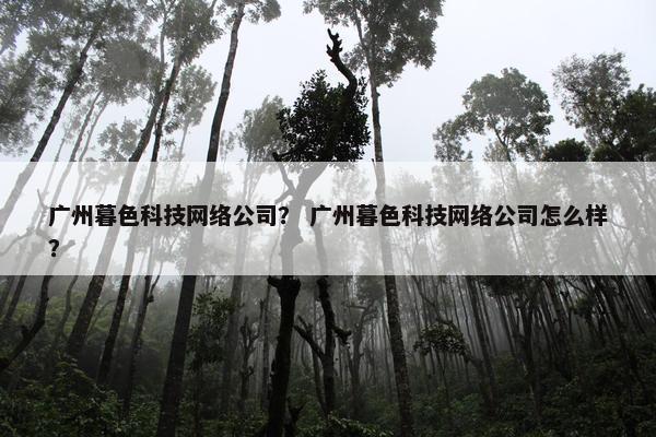 广州暮色科技网络公司？ 广州暮色科技网络公司怎么样？