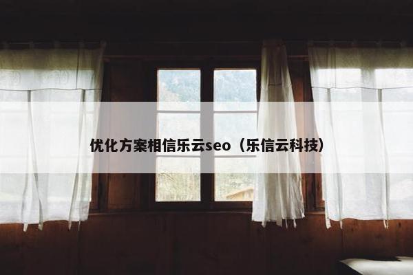 优化方案相信乐云seo（乐信云科技）