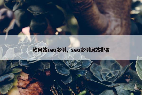 款网站seo案例，seo案例网站排名