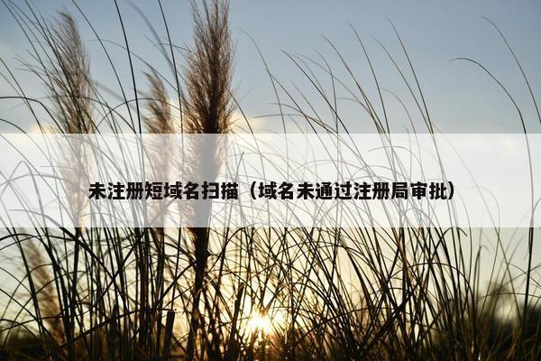未注册短域名扫描（域名未通过注册局审批）