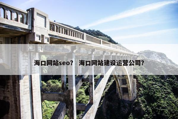 海口网站seo？ 海口网站建设运营公司？