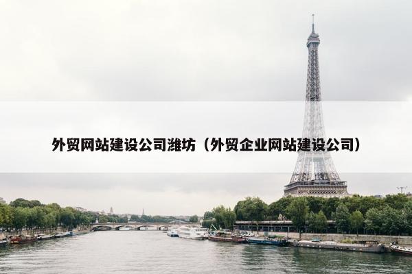 外贸网站建设公司潍坊（外贸企业网站建设公司）