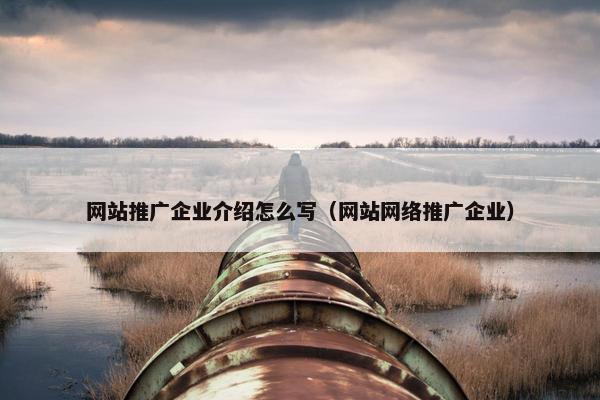 网站推广企业介绍怎么写（网站网络推广企业）
