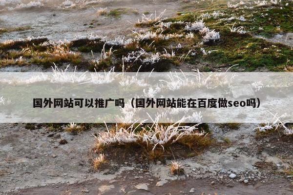 国外网站可以推广吗（国外网站能在百度做seo吗）