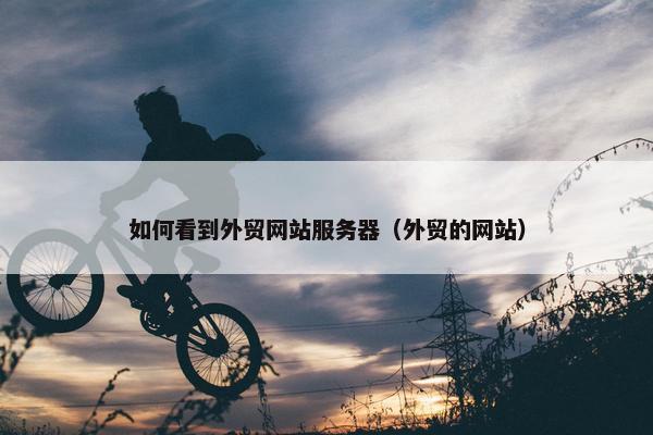 如何看到外贸网站服务器（外贸的网站）
