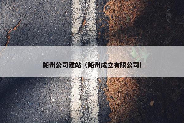 随州公司建站（随州成立有限公司）