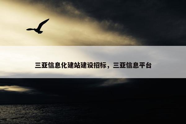 三亚信息化建站建设招标，三亚信息平台