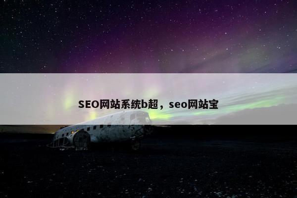 SEO网站系统b超，seo网站宝