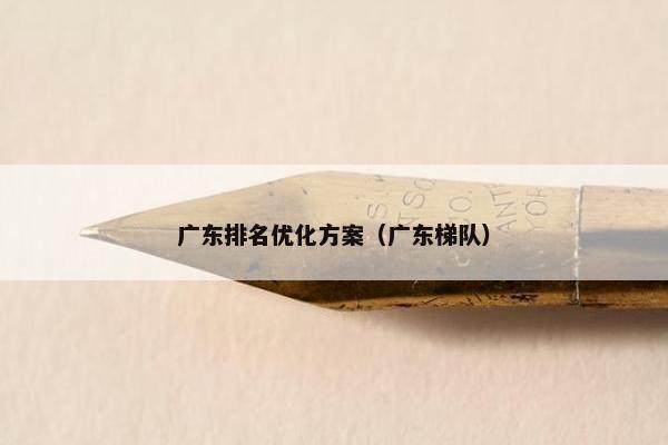 广东排名优化方案（广东梯队）